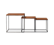 Load image into Gallery viewer, Leende Nest of End Tables
